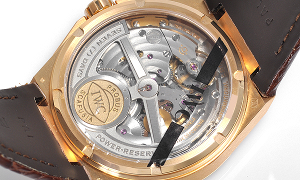  ＩＷＣ ビッグインヂュニア ７デイズ  IW500503