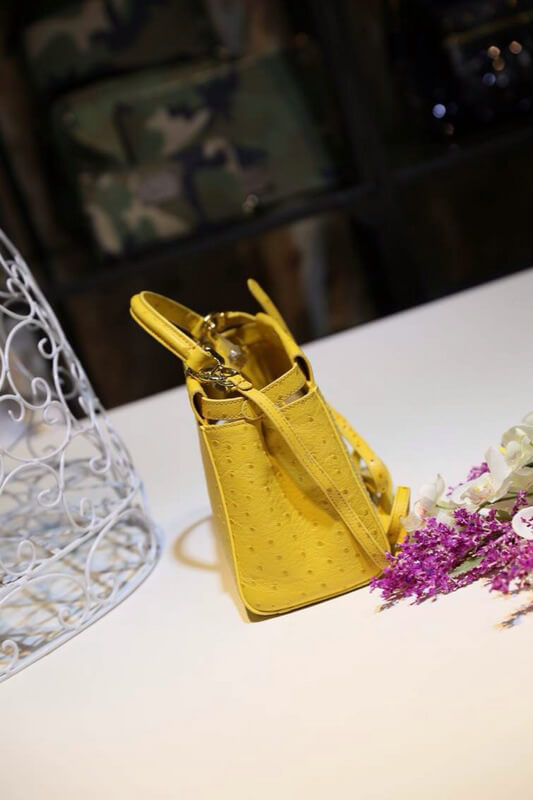 2015春夏新作!フェンディスーパーコピー バッグ FE258 フェンディ OSTRICH MINI PEEK-A-BOO -limited edition